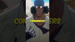 Why The Strength Of Yonko Is Higher Than Ever