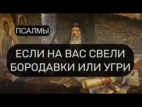 ЕСЛИ НА ВАС СВЕЛИ БОРОДАВКИ ИЛИ УГРИ