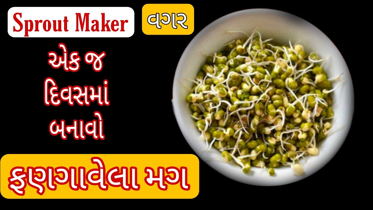 ફક્ત 1 જ દિવસમાં ફણગાવેલા મગ તૈયાર કરવાની રીત Moong Sprouts - YouTube