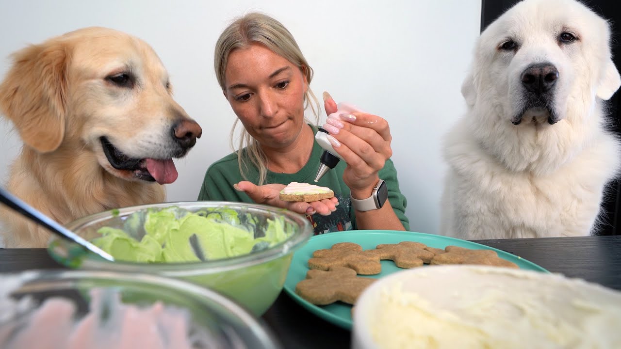 easy-dog-friendly-christmas-sugar-cookie-recipe-youtube
