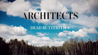 ARCHITECTS - Dead Butterflies [LYRIC VIDEO]