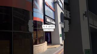 홍대에 여러가지 테마 가득 대형카페 등장 #홍대카페 #대형카페
