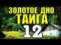 20 ЛЕТ В ТАЙГЕ | НАХОДКА НА ЧЕРДАКЕ | КЛАД = ЗОЛОТОЙ ПРИИСК и МЕДВЕДЬ | ПРИКЛЮЧЕНИЯ В ЛЕСУ 12