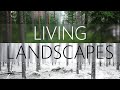 Living Landscapes (whole collection)
