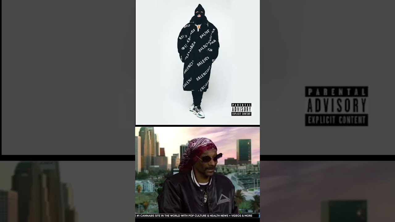 Every Westside Gunn Album RANKED!!👀 