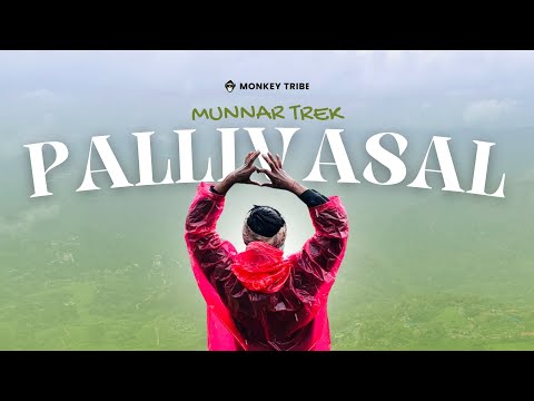 Pallivasal Trek | Hidden Trails of Munnar You’ve Never Seen!