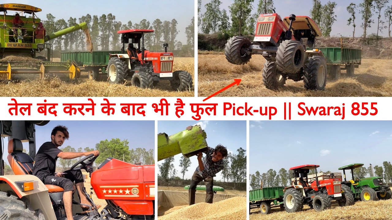 आसमान में बाज और खेत में स्वराज || Mostly Work Complet || 