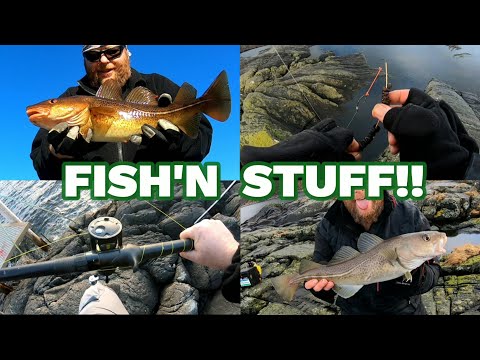 Fish and stuff in Norway 