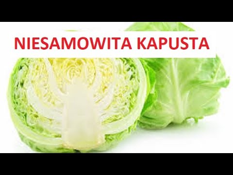 Wideo: Chętna Letnia Mucha Kapusty