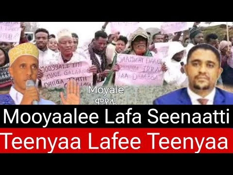 Mooyaalee Lafa Seenaatti Lafti Teenyaa Lafee Teenyaa
