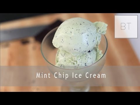 Mint Chip Ice Cream   Byron Talbott