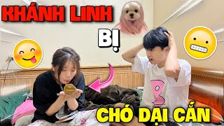 Vlog | Khánh Linh Bị Chó Dại Cắn Làm Quang Con Khóc Thét