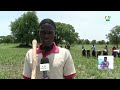 Agriculture : constat de la campagne agricole dans la commune de Douroula dans la province Mouhoun