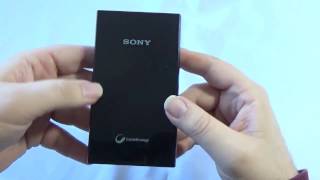 Batterie externe Sony CP-V10A