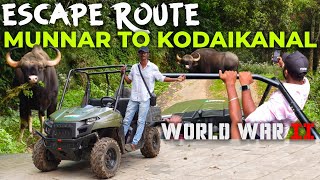 Munnar To Kodaikanal | Escape Route | Pambadum Shola National Park | Munnar Tourist Places In Tamil