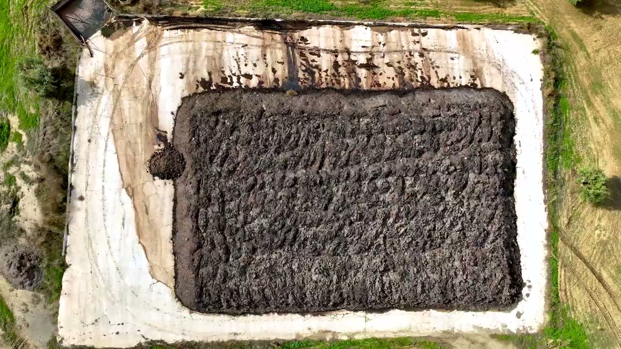 Organic Olive Oil from Above – Drone Tour of Soler Romero Estate in Spain 🇪🇸🌿🚁