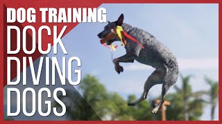 Dog Training  How to Train a Dog for Dock Diving | Episode 1