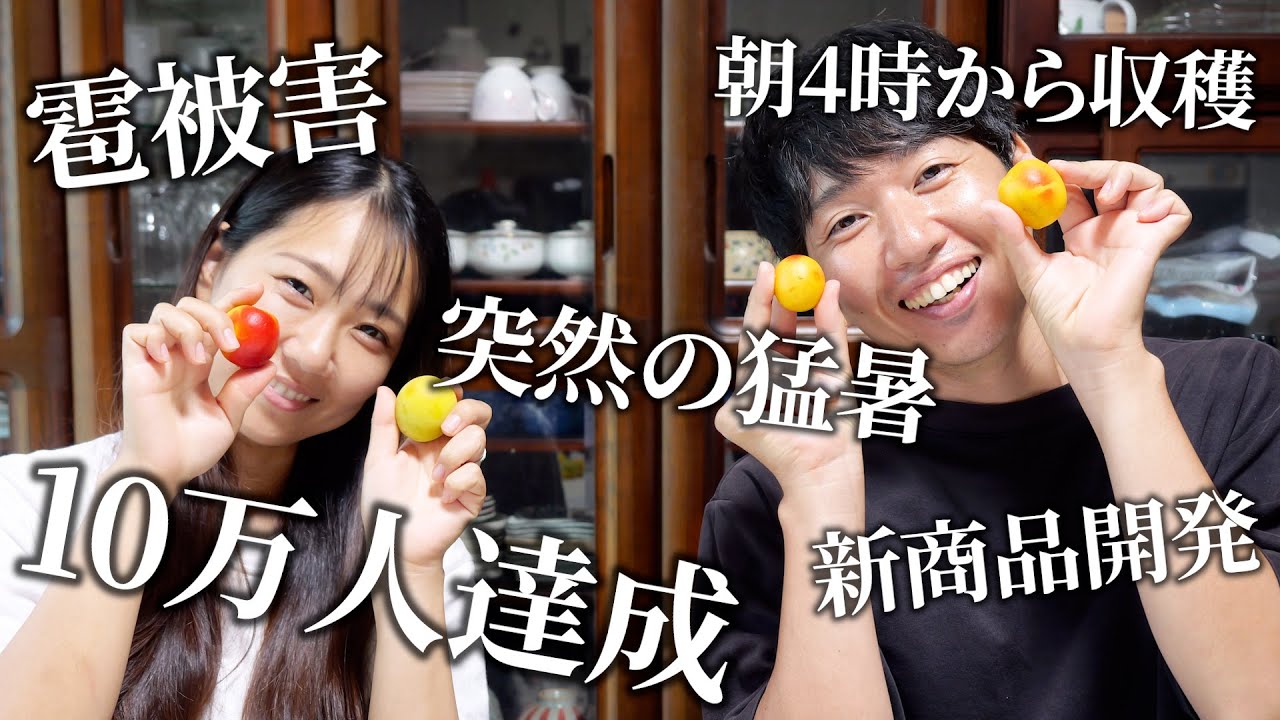 感謝】2025年も生梅の発送が終了しました！兄妹で思い出を語ります