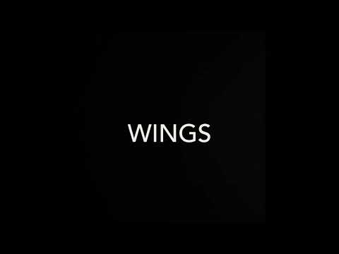 So!YoON! X Phum Viphurit - Wings (cover )