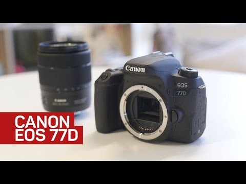 The new 'Rebel'-free EOS 77D looks like just like the T7i