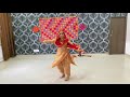 Punjabi folk dance choreography winner youth festival pau ludhiana