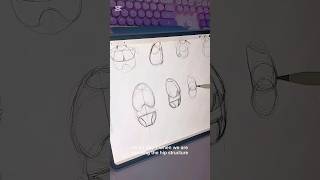 Day 7 of Learning anatomy in 21 days with 21Draw (not sponsored), my own little experiment #anatomy