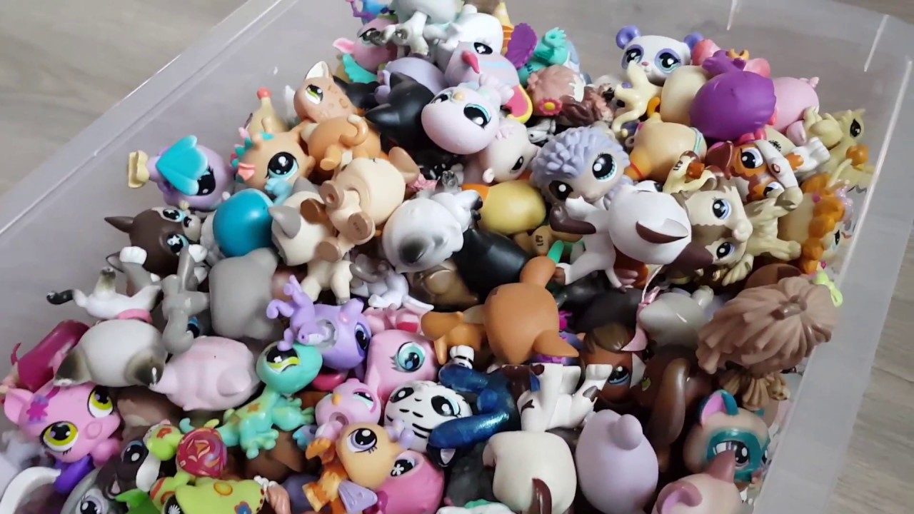 Загадка с петшопами! Подсказка! - YouTube