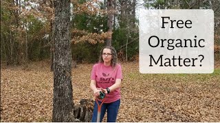 Building Healthy Soil with FREE Organic Matter