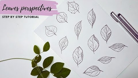How to draw leaves. Different leaf perspectives. Step by step tutorial for beginners.