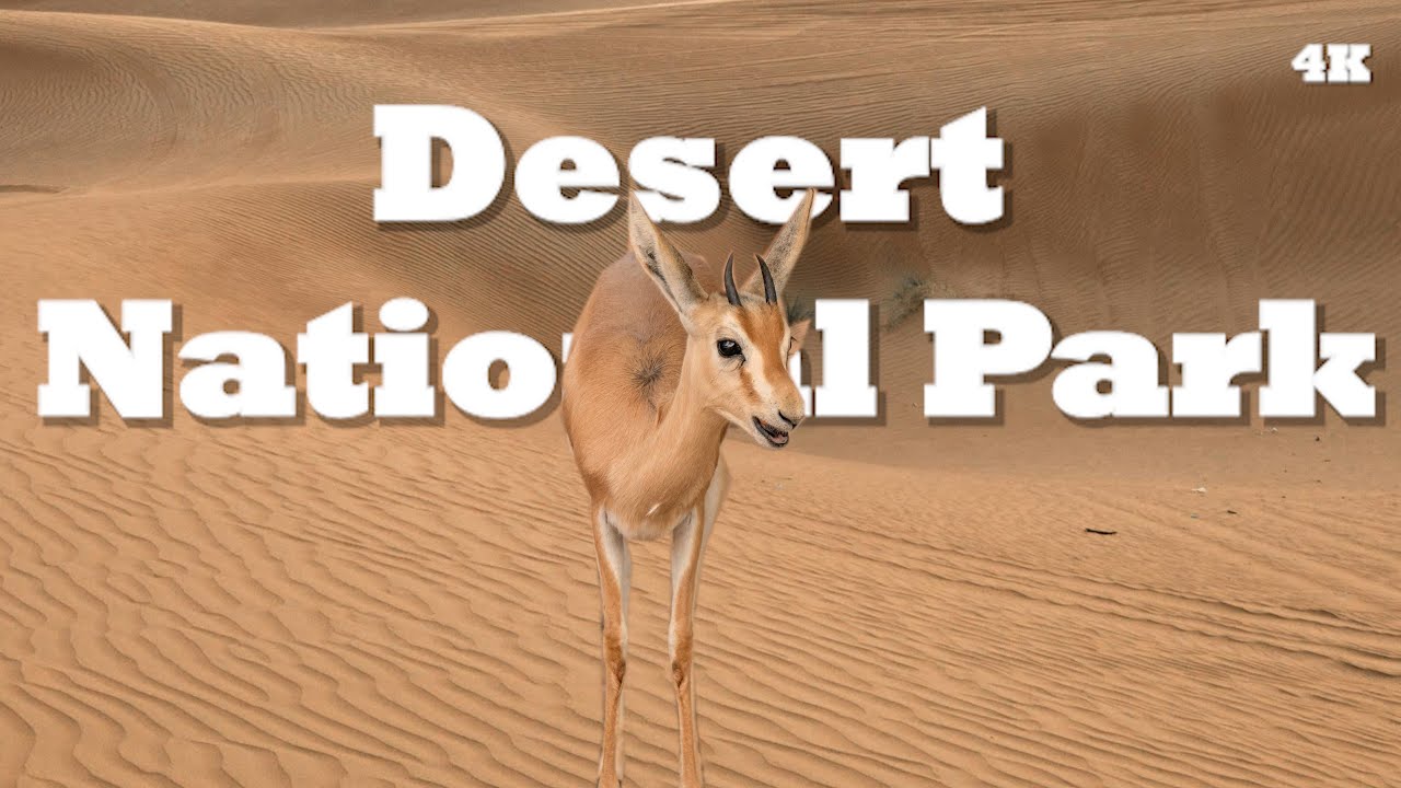 Enchanting Rajasthan - Desert National Park - Sand Dunes - Camel Safari - Wildlife - Desert Festival