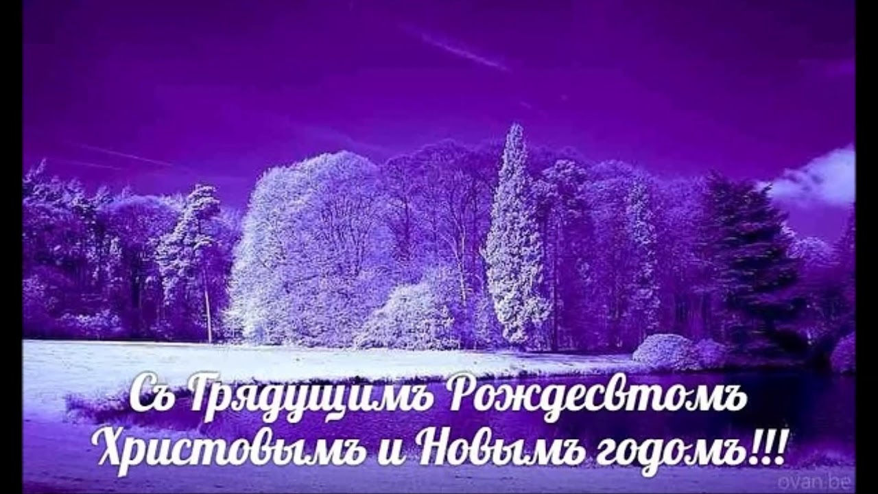 Фиолетовый снег