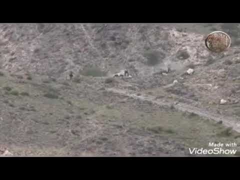 كمين محكم لابطال قبيلة مراد الابيه على طقم حوثي هذي مارب ياحوثي قد قلنا لك