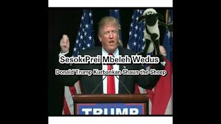 Donald Trump Berkurban Shaun The Sheep - Sesok Prei Mbeleh Wedus