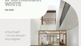 NEW!! TOA COLOR DECODING/ TRENDS 2021 [Room Scene]