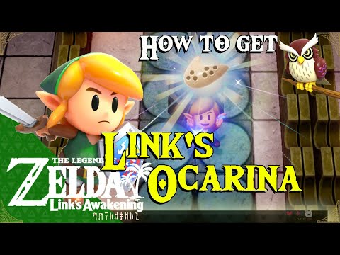 Video: Zelda: Link's Awakening - Dream Shrine Forklarede Og Hvordan Man Får Ocarina