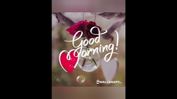 good morning status #goodmorning #whatsapp_status #ytshorts #shorts #statusvideo #shortvideo #love 🎉