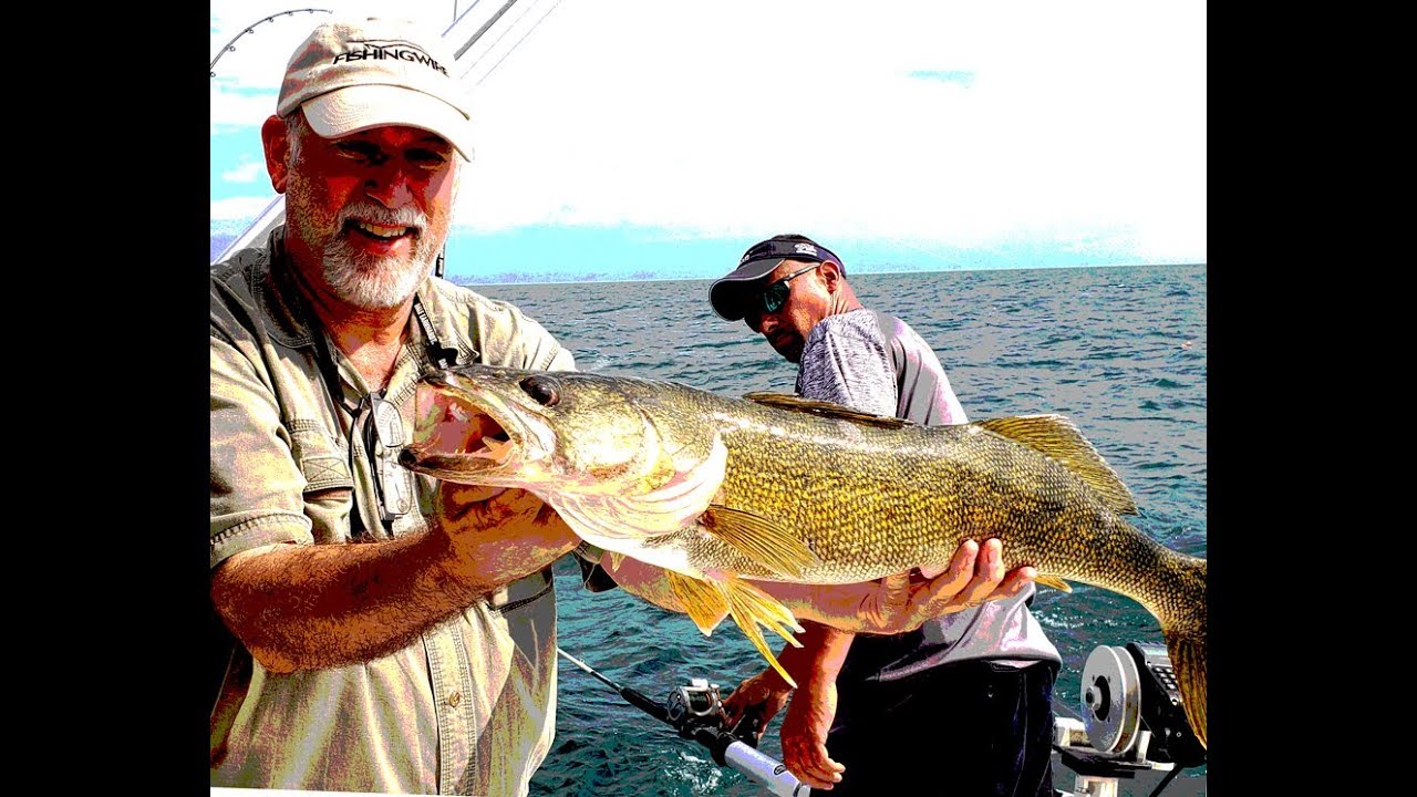 Lake Erie Walleye Fishing with Dream Catcher Sportfishing August 2019