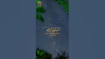 قرآن كريم | ما تيسر من سورة هود بصوت خاشع ومؤثر بصوت القارئ سلمان العتيبي