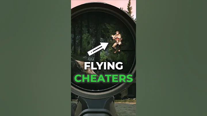 Flying Cheaters in Tarkov (Banned)