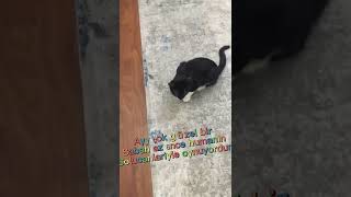 Öylesine Takılıyor