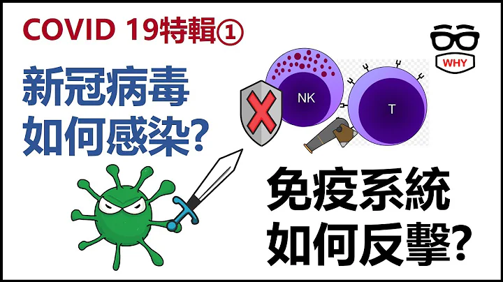 新冠肺炎特辑第一集-新冠病毒如何感染人类?免疫系统如何反击?｜那些年我们经历了COVID 19 - 天天要闻