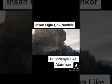 İnsan olu nankör