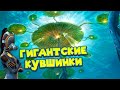 ОН ВЛЕЗ В ЕЁ ГОЛОВУ Subnautica Below Zero