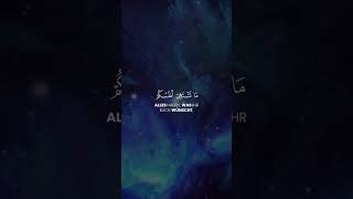 Surah Fussilat || Vers 31-32 || Rayyan Al-Muhaysani #quran #islam #قرآن #shorts