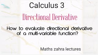 Directional Derivative  Example  in urdu - Calculus 3 -Maths zahra lectures( part 2)