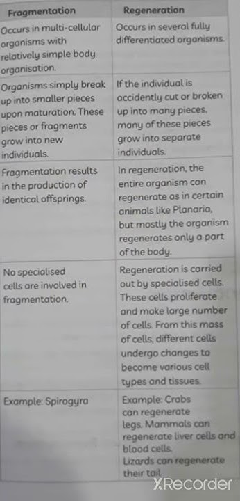 Differences between Fragmentation and Regeneration Class 10 Science ...