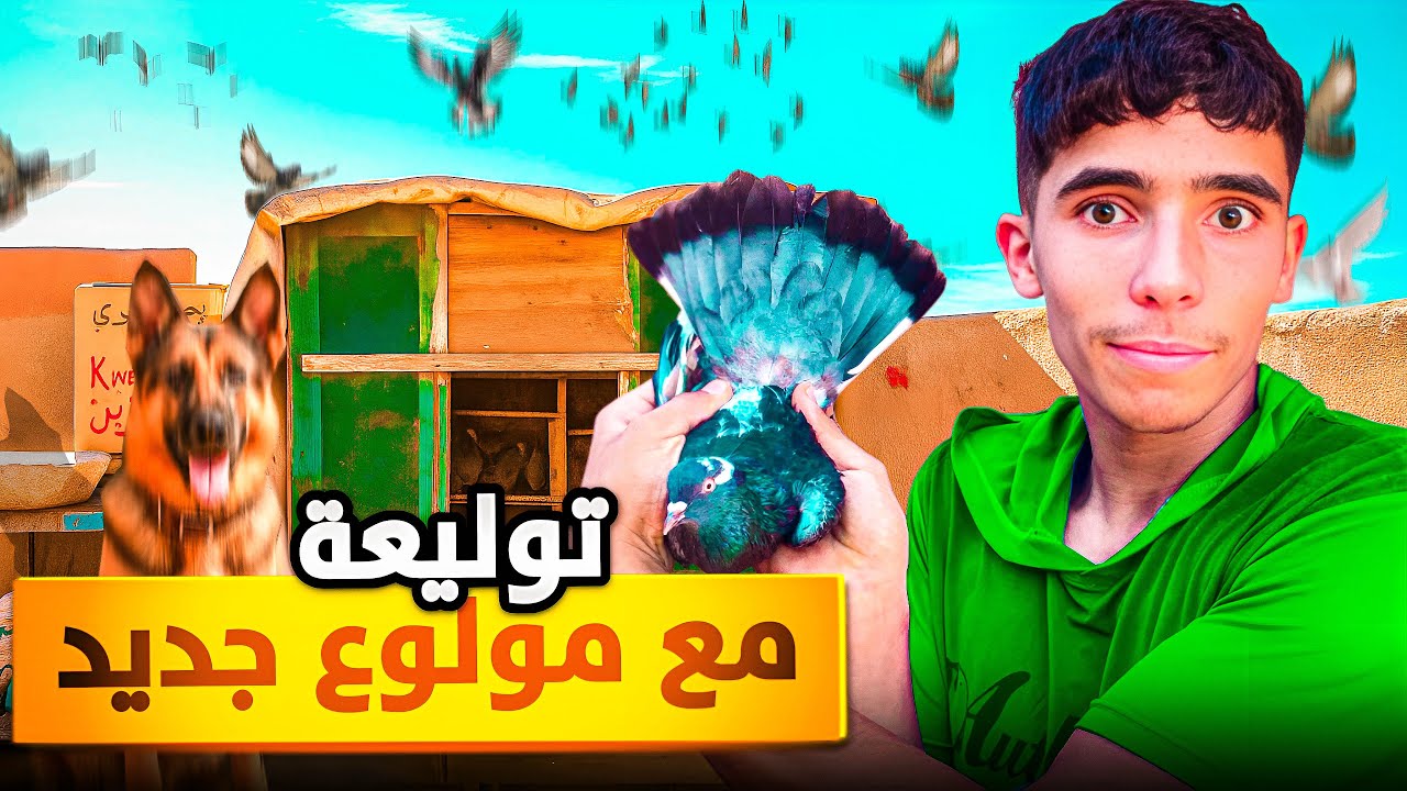 مولوع جديد: توليعة في الحمام🕊️مع كلب دوزت أحسن نهار ميمكنش أشنوا وقع🐕😳