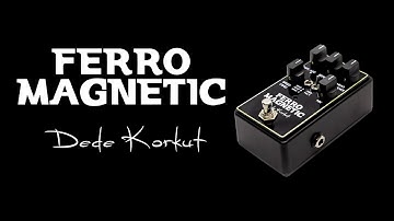 Multi Head Demo 1/4 and 1/8. - FERROMAGNETIC - Multi Head Tape Delay