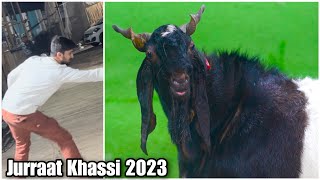 Hamza Bobde Challenges Jurraat 2023 Khassi Goat at JD Goat Farm