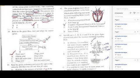 ANSWER KEY OF NSO CLASS 7 SET B(Q.no-30-45)